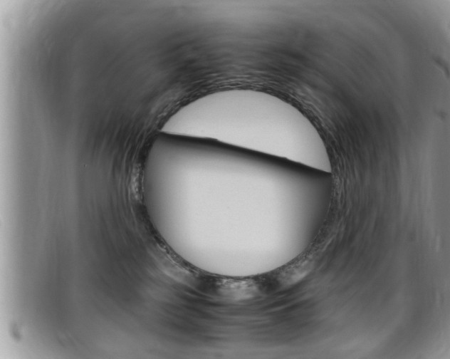 X0000099430185200805090734