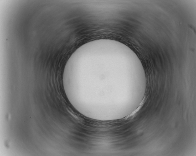 X0000099430186200805090734