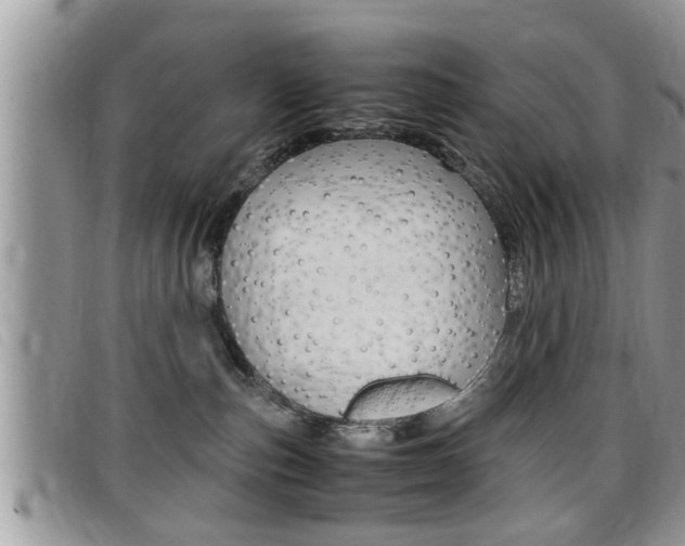 X0000099430187200805090734