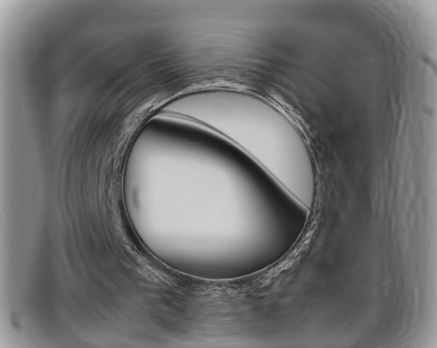 X0000099430193200805090734