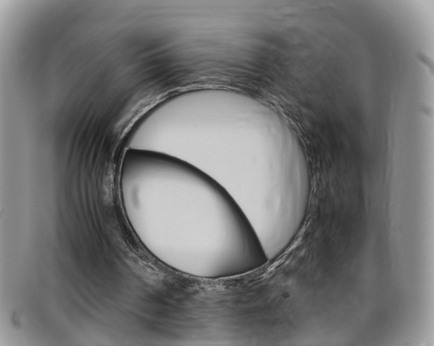 X0000099430194200805090734