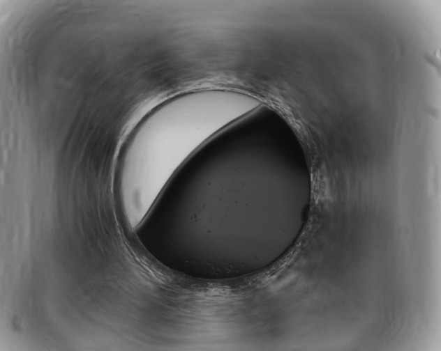 X0000099430196200805090734