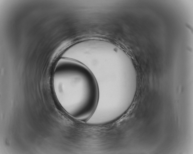 X0000099430197200805090734