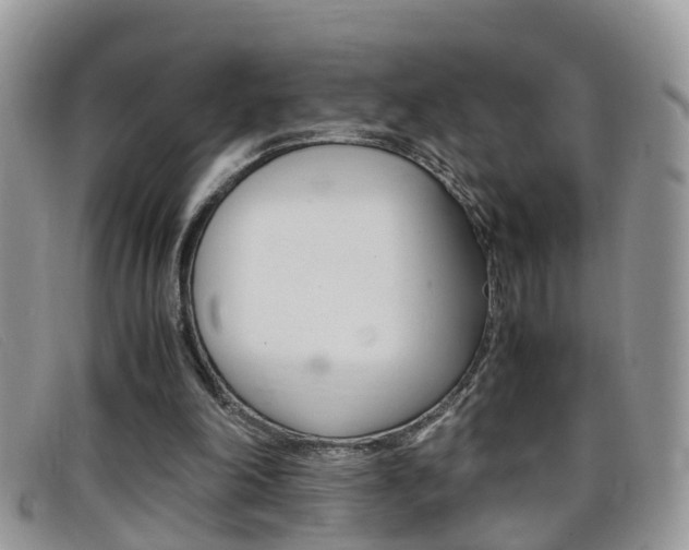X0000099430198200805090734