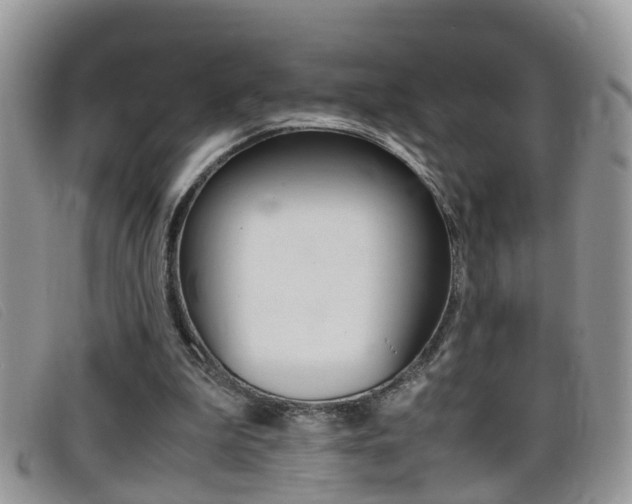 X0000099430199200805090734