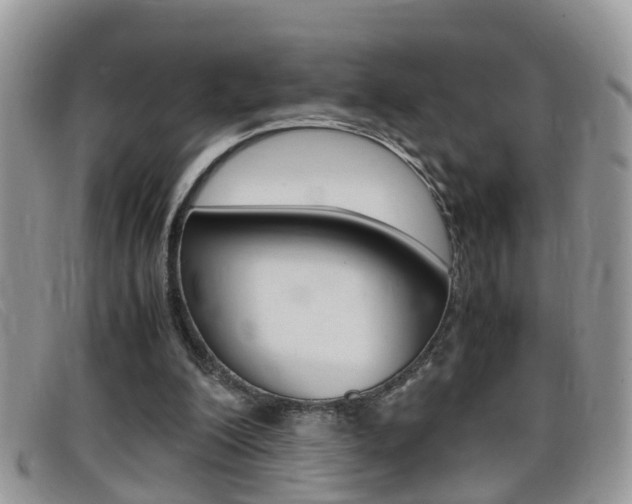 X0000099430200200805090734