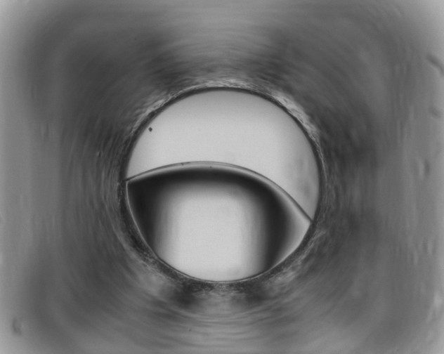 X0000099430201200805090734