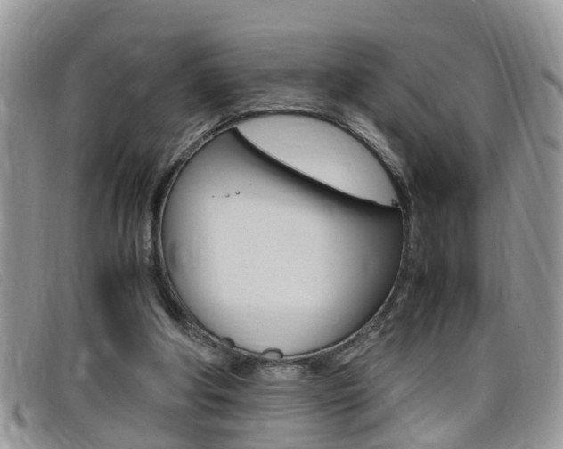 X0000099430202200805090734