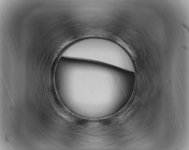 X0000099430203200805090734