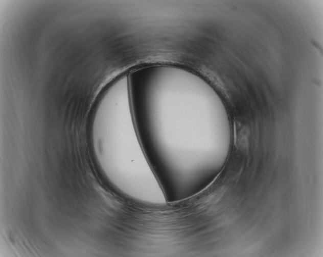 X0000099430204200805090734