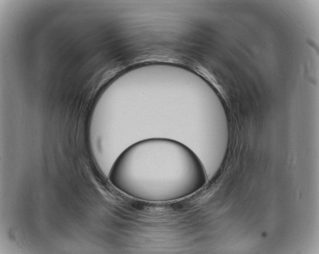 X0000099430205200805090734
