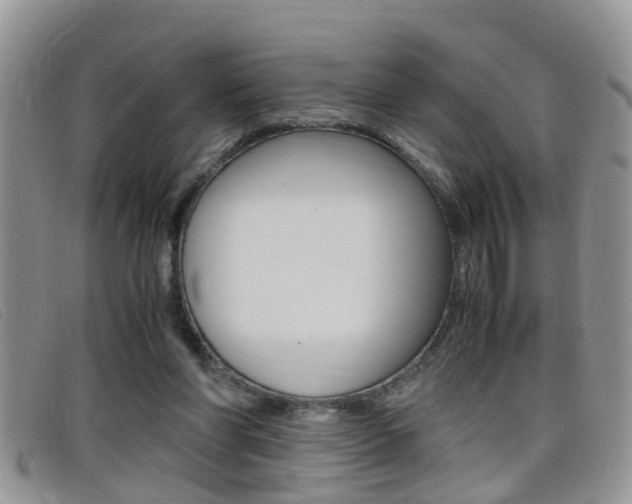 X0000099430206200805090734