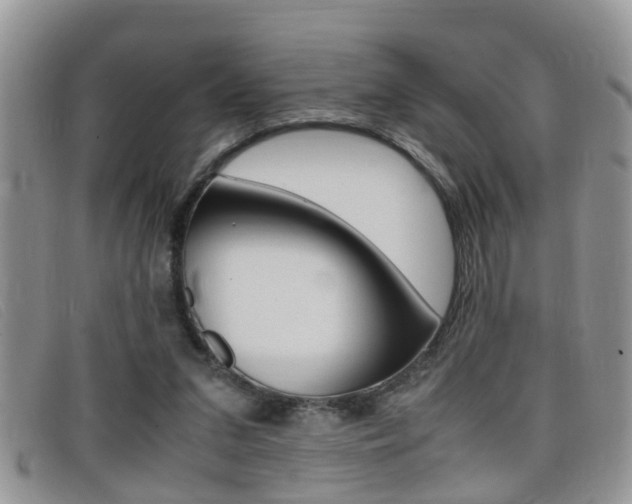 X0000099430207200805090734