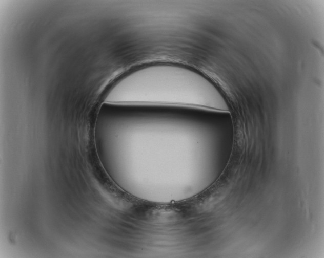 X0000099430208200805090734