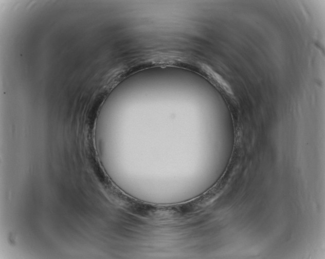 X0000099430209200805090734