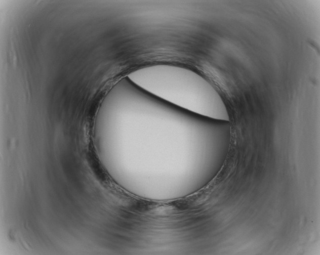 X0000099430210200805090733