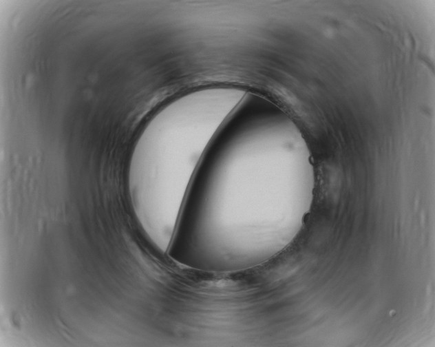 X0000099430212200805090733