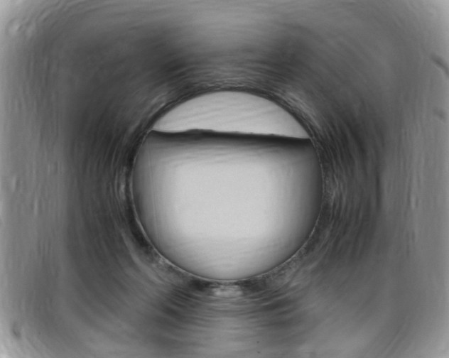 X0000099430214200805090733