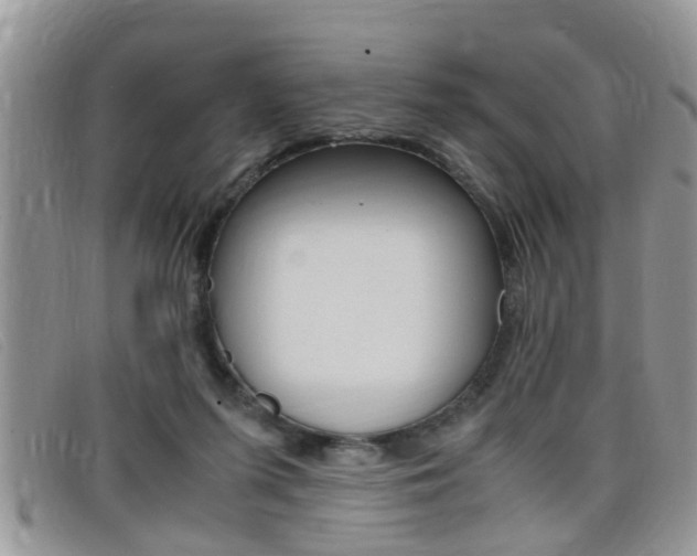 X0000099430215200805090733