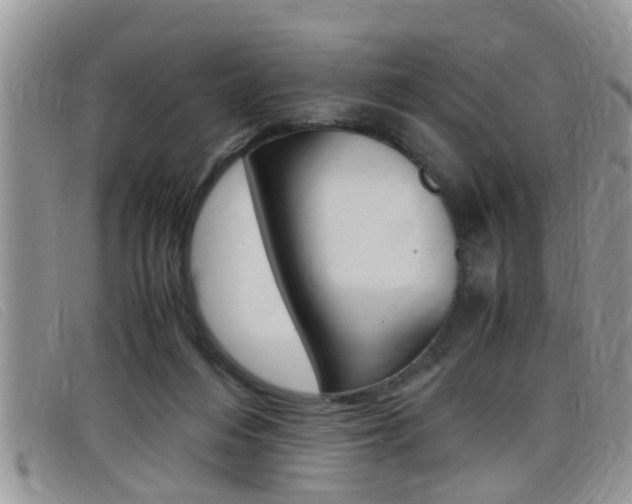 X0000099430216200805090733