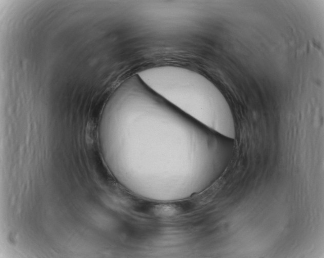 X0000099430218200805090733