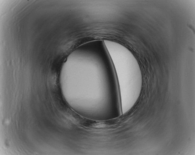 X0000099430219200805090733