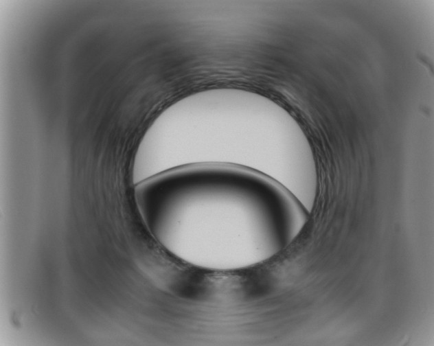 X0000099430221200805090733