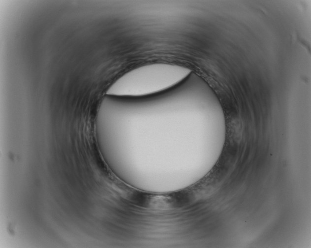 X0000099430222200805090733