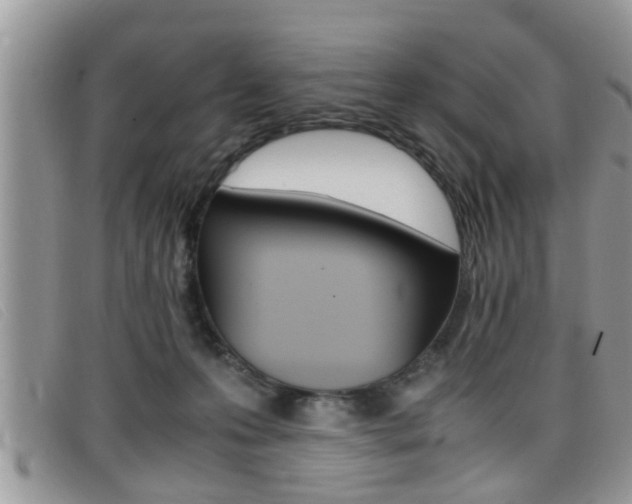 X0000099430223200805090733