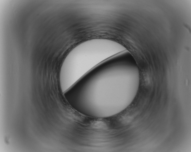 X0000099430224200805090733