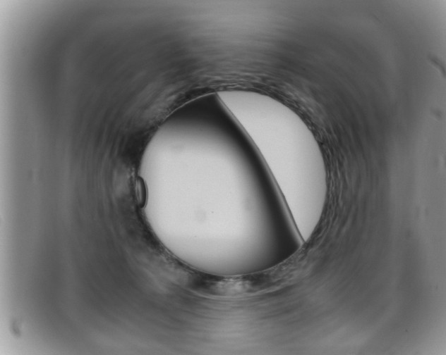 X0000099430225200805090733