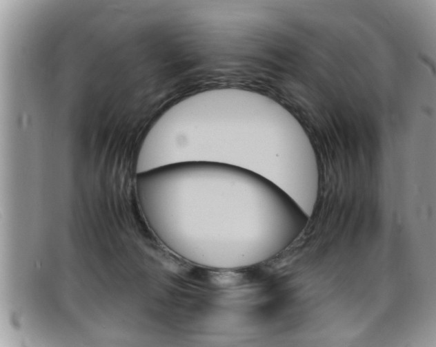 X0000099430226200805090733