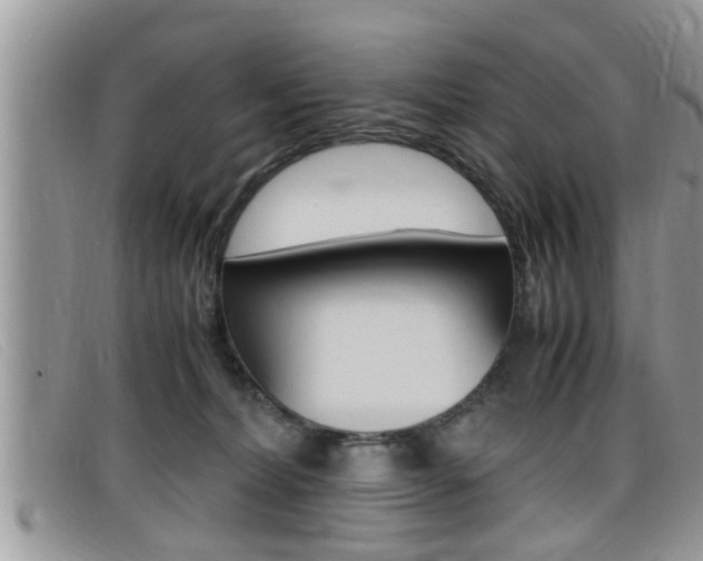 X0000099430228200805090733