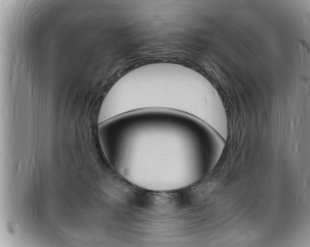 X0000099430229200805090733