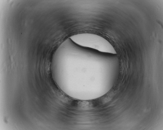 X0000099430230200805090733