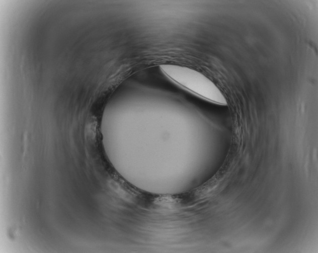 X0000099430231200805090733