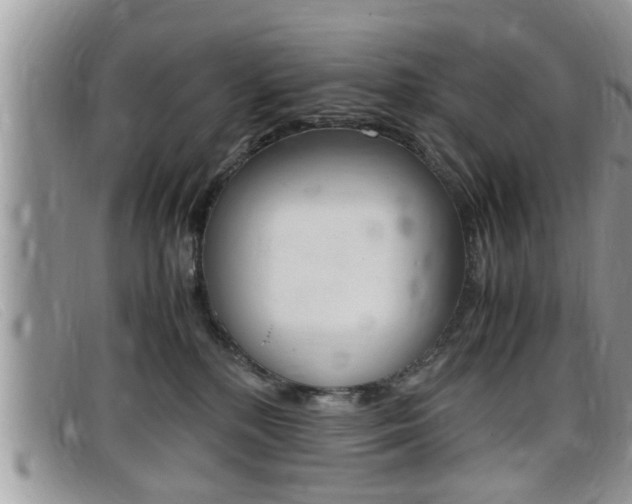 X0000099430232200805090733