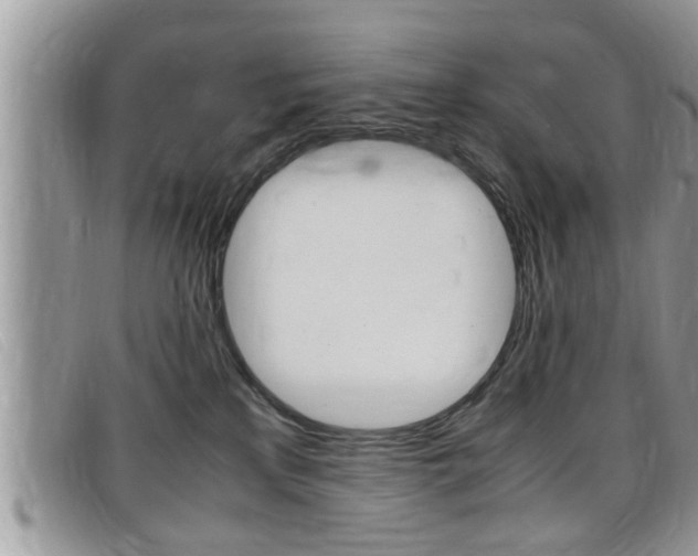 X0000099430233200805090733