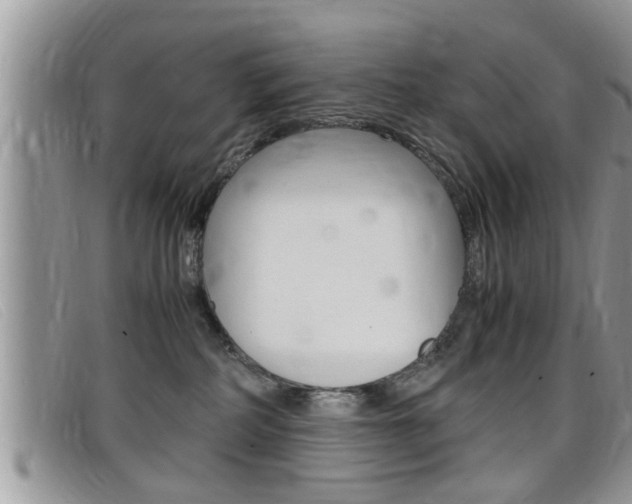 X0000099430234200805090733