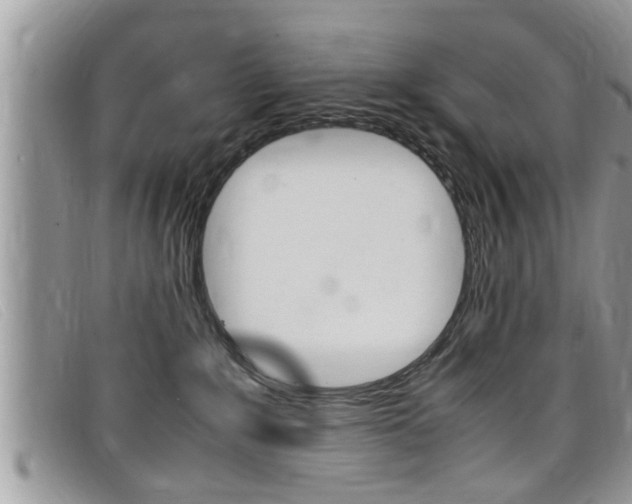 X0000099430235200805090733