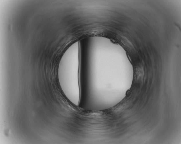 X0000099430236200805090733