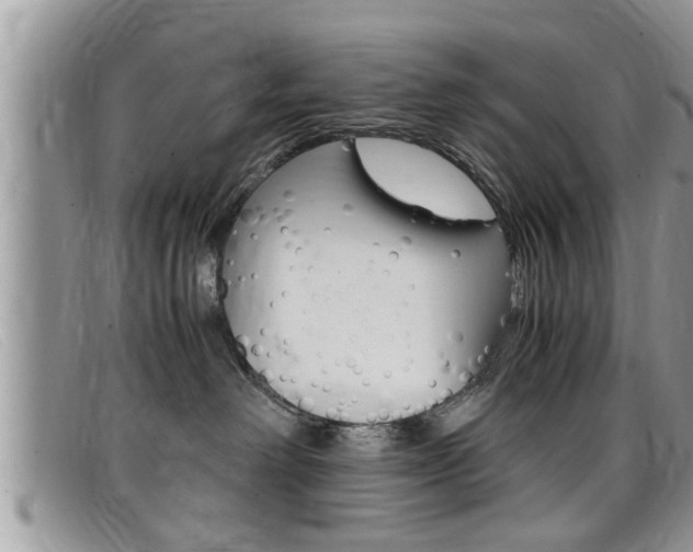 X0000099430238200805090733