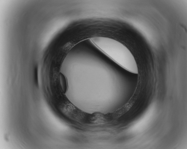 X0000099430239200805090733