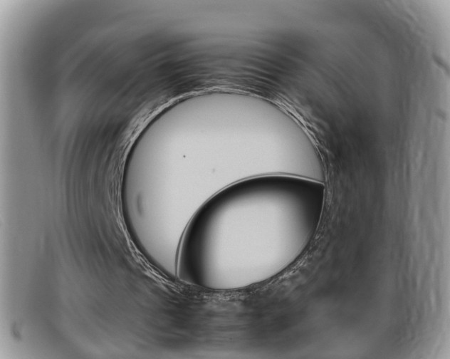 X0000099430241200805090732