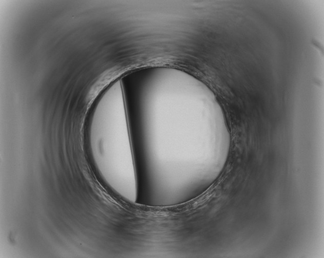 X0000099430242200805090732
