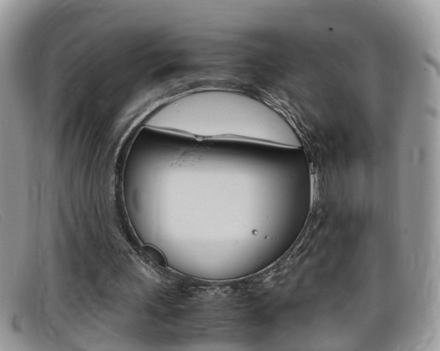 X0000099430243200805090732