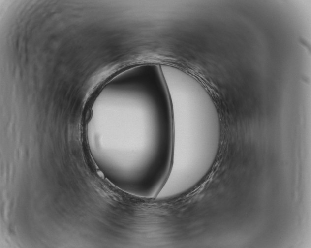 X0000099430244200805090732
