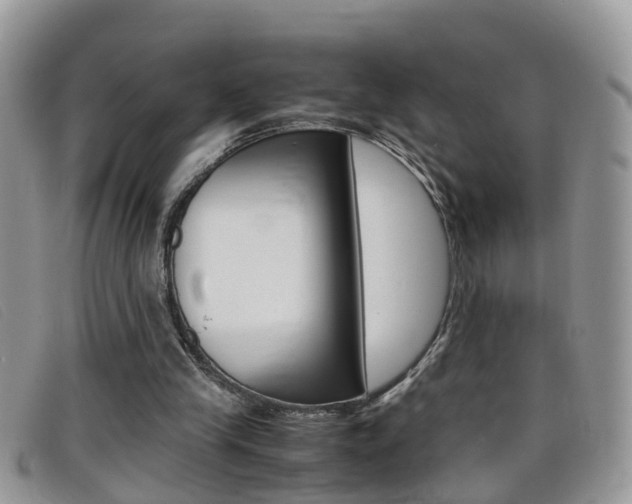X0000099430245200805090732