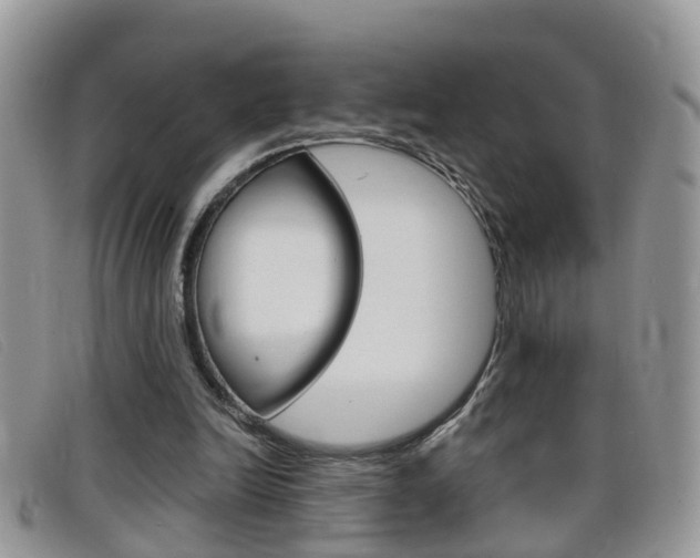X0000099430246200805090732