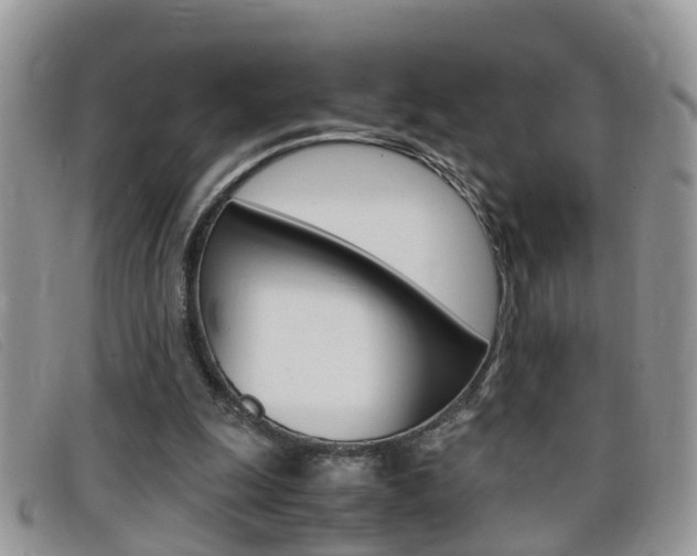 X0000099430247200805090733